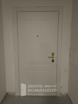 Входная стальная дверь Stardis Expert с двухсистемным замком Mottura, с девиаторами, с временной панелью