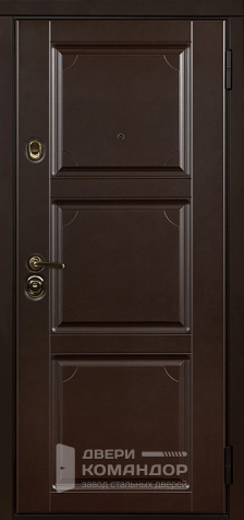Дверь коричневая входная №40 - наружная сторона