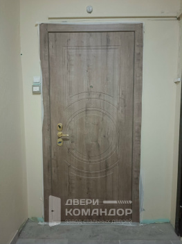 Входная дверь Stardis Expert с двухсистемным замком Mottura, с девиаторами, c временной панелью, с расширением проёма  (Типовая серия П44Т)