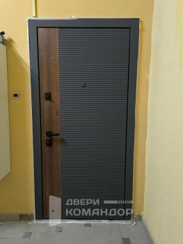 Металлическая входная дверь Stardis Comfort