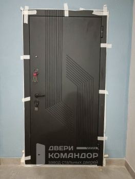 Входная дверь Протея  зеркало эмалит белый Феррони