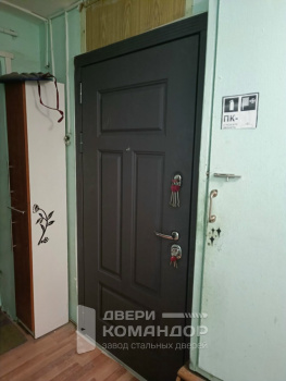 Входная дверь Дива МХ-29  ясень графит / Н10 софт шампань