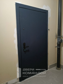 Входная стальная дверь Stardis Expert с двухсистемным замком Mottura с девиаторами