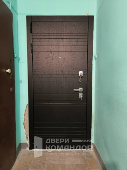 Входная дверь Дуэт Белая лиственница (империя) АСД, с расширением проёма