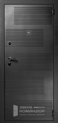 Дверь входная звукоизоляционная металлическая с зеркалом №29 - наружная сторона