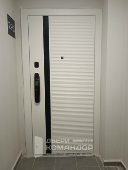 Входная дверь Stardis Expert  с биометрическим замком Kaadas