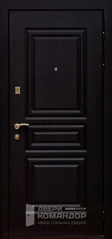 Металлическая дверь с терморазрывом №42 - наружная сторона