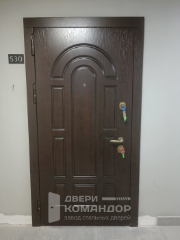 Входная дверь шпон / эмаль с окраской металла в два цвета